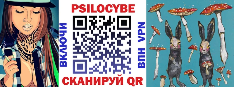 Псилоцибиновые грибы мухоморы где можно купить блэк спрут ТОР Жердевка